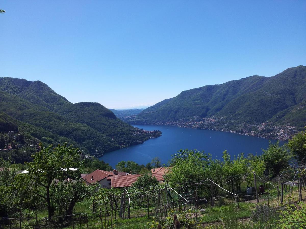 บีแอนด์บี เล แมกโนเลีย Bed & Breakfast Faggeto Lario ภายนอก รูปภาพ