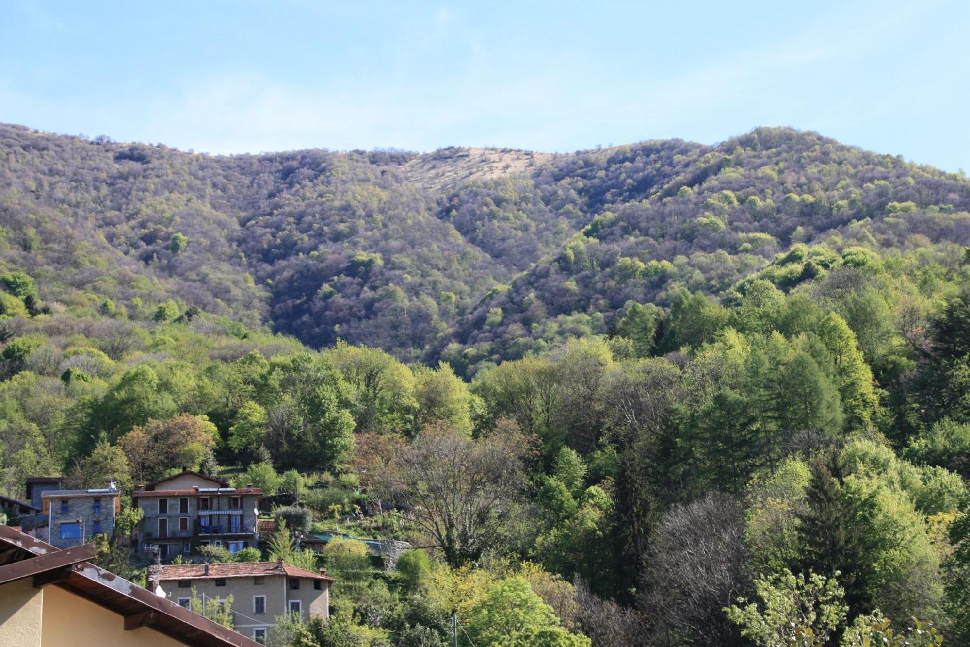 บีแอนด์บี เล แมกโนเลีย Bed & Breakfast Faggeto Lario ภายนอก รูปภาพ