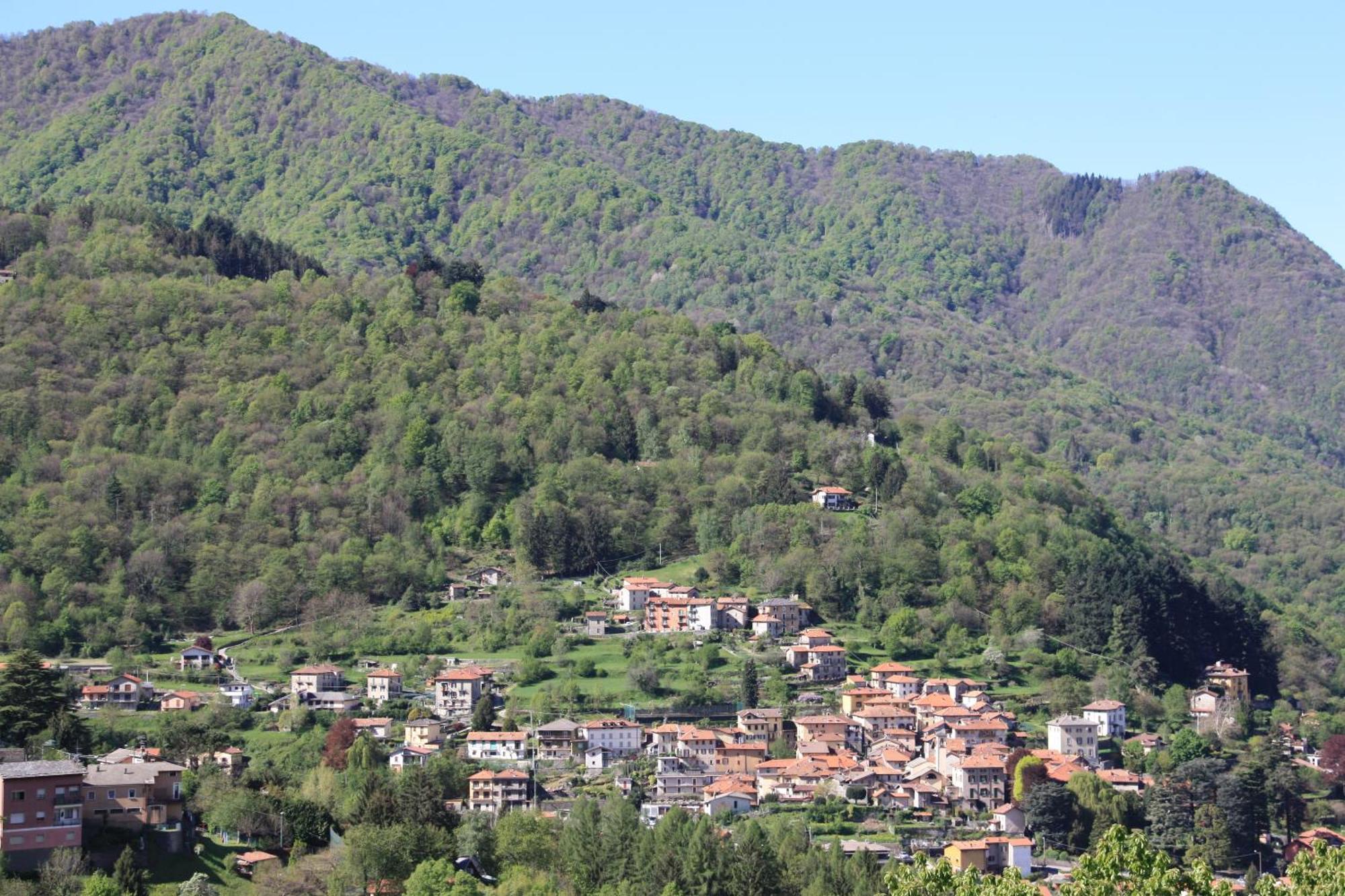 บีแอนด์บี เล แมกโนเลีย Bed & Breakfast Faggeto Lario ภายนอก รูปภาพ